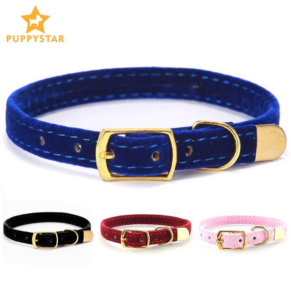 Collar For Cats Small Dogs Kittens